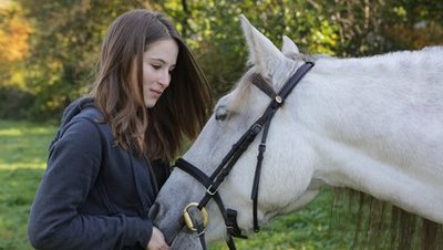 Mädchen füttert ein Pferd